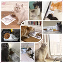1Pc Cat Food Bowl Raised Pet Bowls Reduce Neck Pain Elevated Transparent Bowl for Cats and Small Dogs
