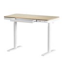 Artiss Standing Desk Motorised Electric Dual Motor Draw 120CM Oak