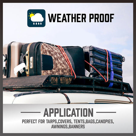 30-Piece Premium Bungee Cord Assortment Includes 10” to 40” Bungee Cords, Canopy Ties & Tarp Clips