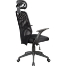 Ergonomic Mesh Office Chair