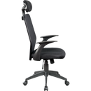 Ergonomic Mesh Office Chair